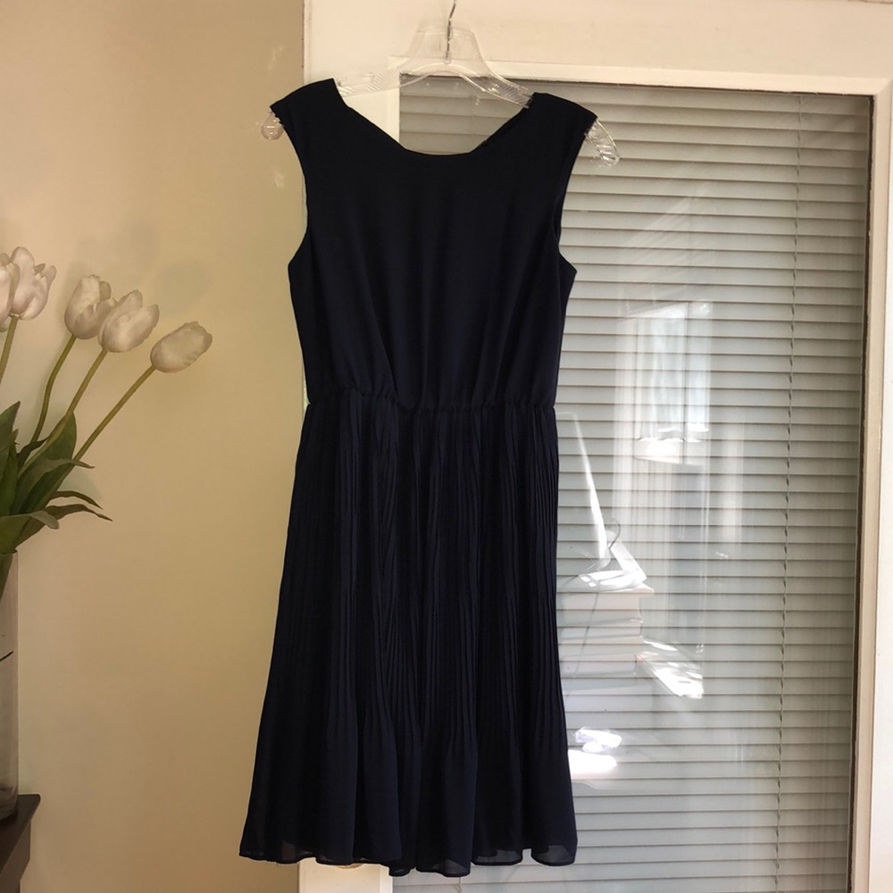 Ann Taylor Petite Pleated Flare Dress